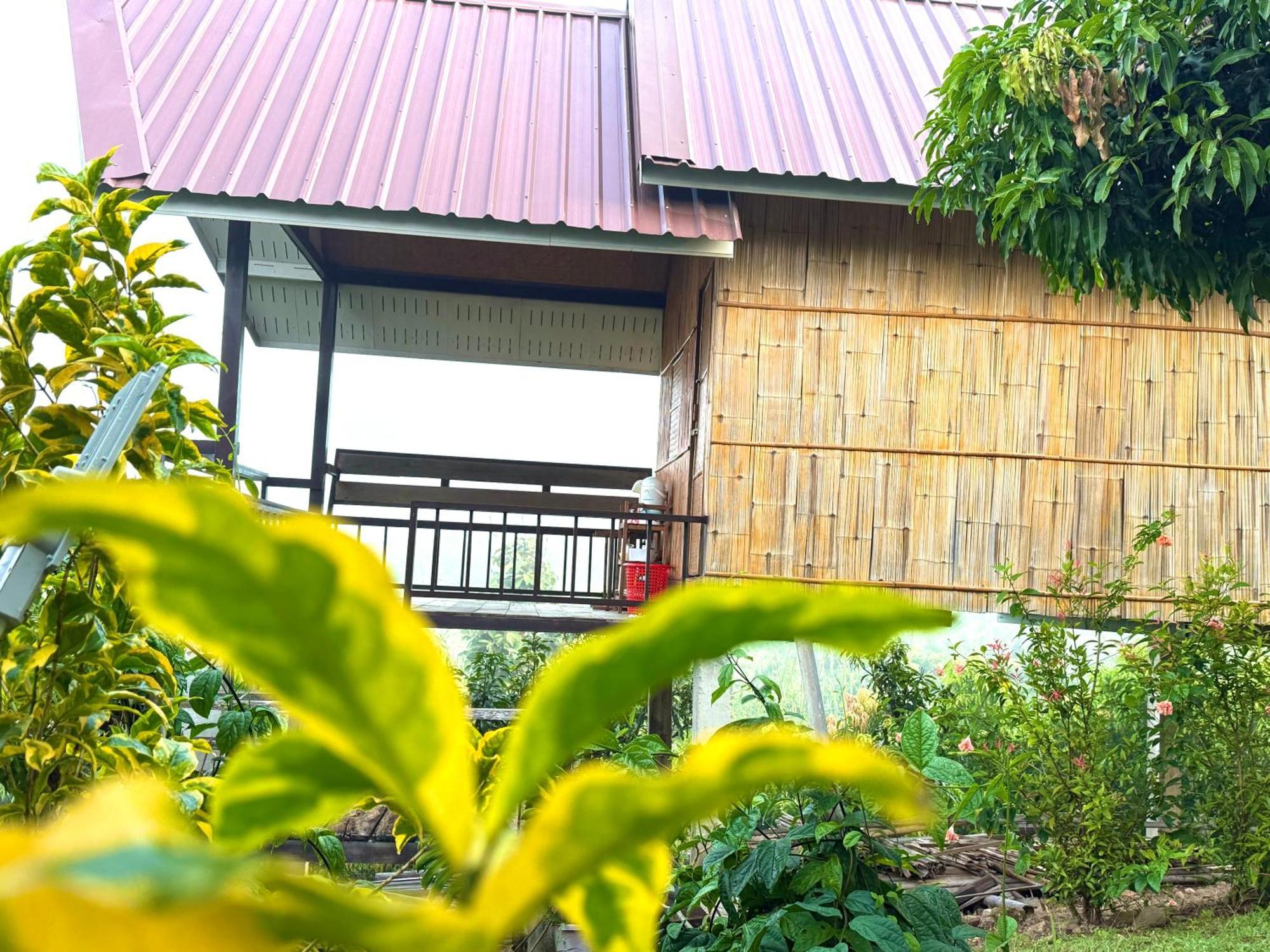 Doicherngngam Home stay Chiang Dao Exterior foto